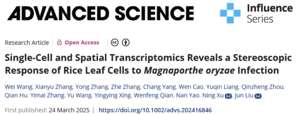 2026 俄羅斯國際玩具展覽會 TOY-MARKET